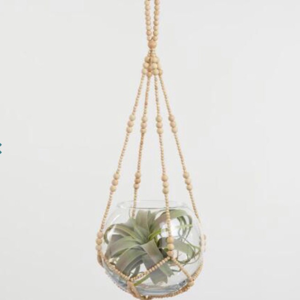 Plant Hangers (2 for 1)